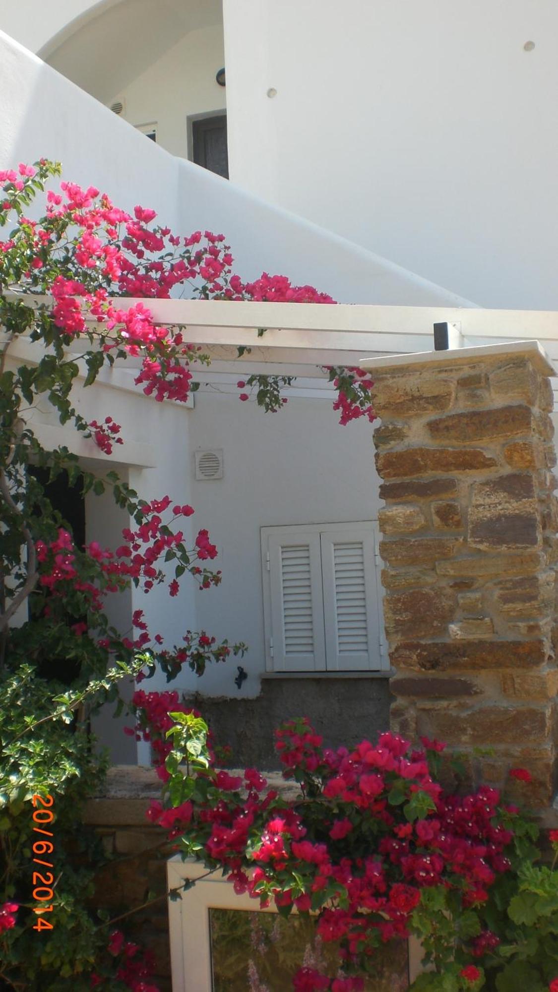 Lygaria Agios Ioannis (Tinos)