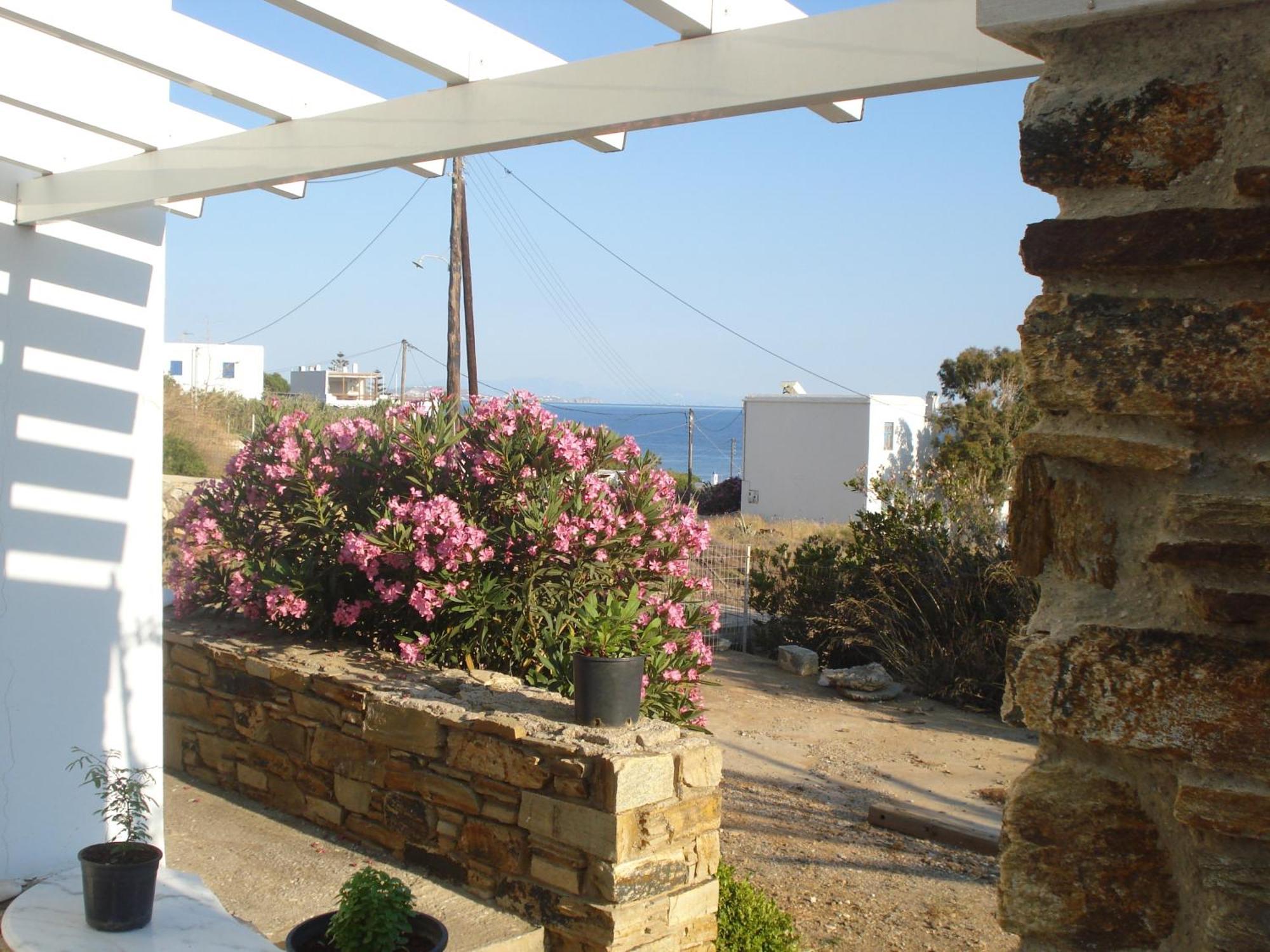 Lygaria Agios Ioannis (Tinos)